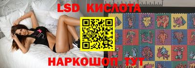 прущие грибы Гатчина