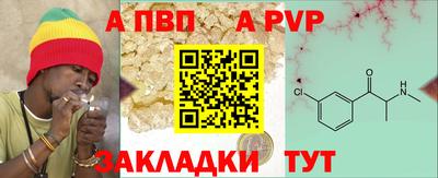 прущие грибы Гатчина