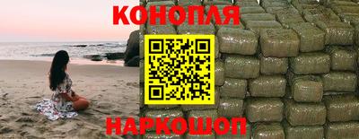 прущие грибы Гатчина